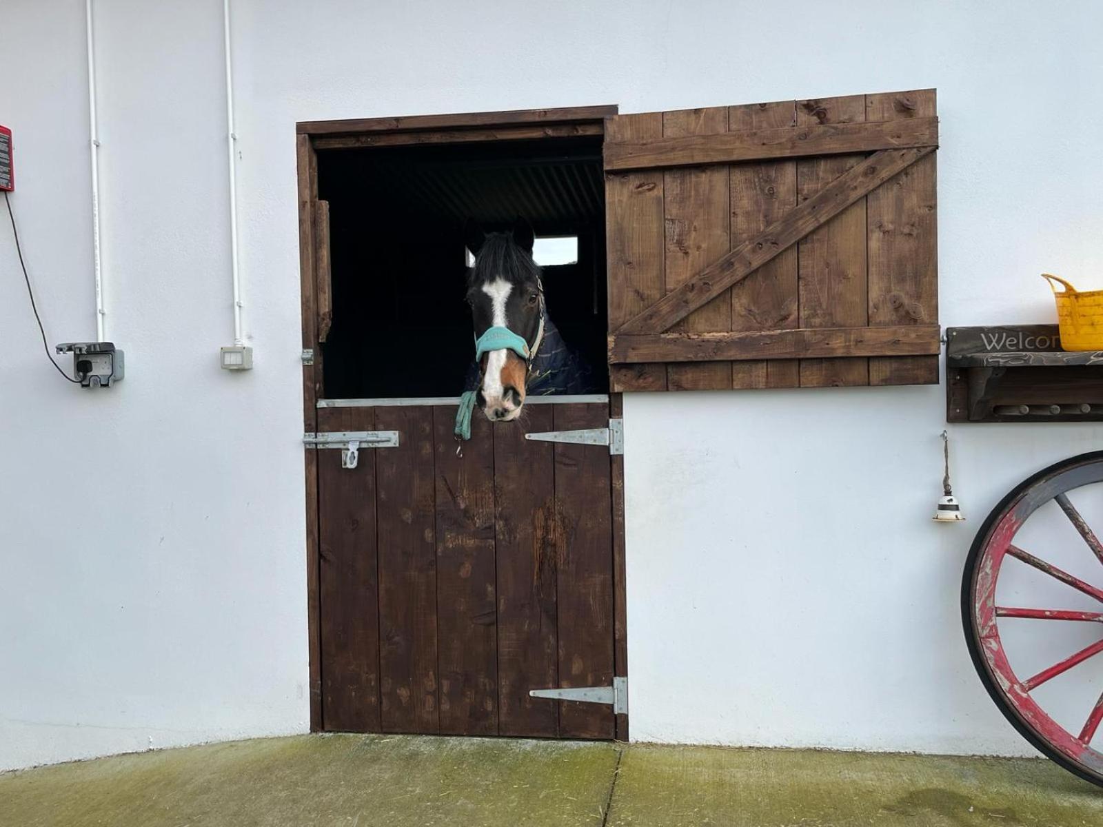 Toddys Hideaway Apartment Cavan Exterior photo